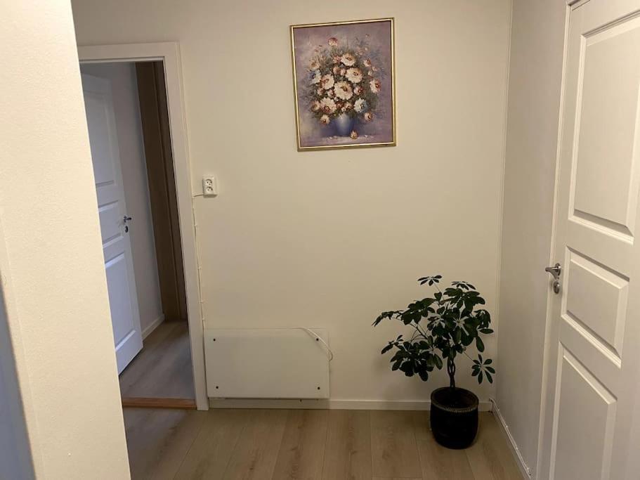 Lovely 2 Bedroom Apartmen With Free Parking Bergen Buitenkant foto
